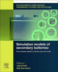 Electrochemical Power Sources: Fundamentals, Systems, and Applications : Simulation Models of Secondary Batteries: From Quantum Physics to Techno-economic Scale