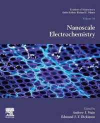 Nanoscale Electrochemistry (Frontiers of Nanoscience)