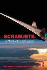 Scramjets : Fuel Mixing and Injection Systems