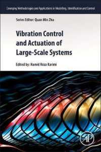 Vibration Control and Actuation of Large-Scale Systems (Emerging Methodologies and Applications in Modelling, Identification and Control)