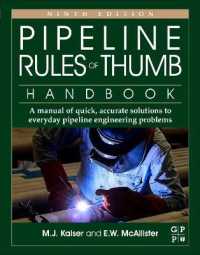 Pipeline Rules of Thumb Handbook : A Manual of Quick, Accurate Solutions to Everyday Pipeline Engineering Problems （9TH）