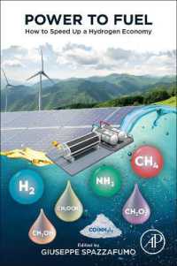 Power to Fuel : How to Speed Up a Hydrogen Economy