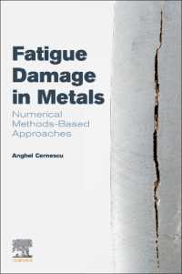 Fatigue Damage in Metals : Numerical Methods-Based Approaches