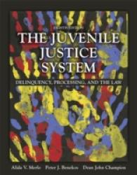The Juvenile Justice System : Delinquency, Processing, and the Law （8TH）