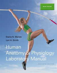 Human Anatomy & Physiology + Masteringa&p with Etext : Main Version （11 PCK PAP）