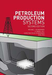 Petroleum Production Systems （2ND）