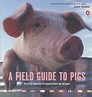 A Field Guide to Pigs （Reprint）