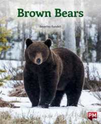 Brown Bears -- Paperback