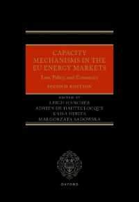 ＥＵエネルギー市場における供給力確保策：法、政策と経済学（第２版）<br>Capacity Mechanisms in the EU Energy Markets : Law, Policy, and Economics （2ND）