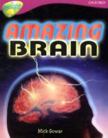 Oxford Reading Tree: Level 10A: TreeTops More Non-Fiction: Amazing Brain (Oxford Reading Tree)