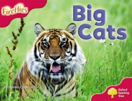 Oxford Reading Tree: Level 4: More Fireflies A: Big Cats (Oxford Reading Tree) -- Paperback / softback
