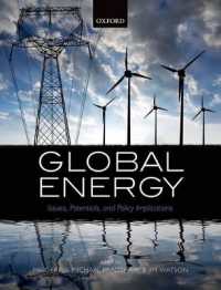 グローバル・エネルギー問題：可能性と政策的含意<br>Global Energy : Issues, Potentials, and Policy Implications
