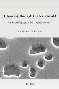 ナノ世界案内<br>A Journey through the Nanoworld : Self-Assembling Organic and Inorganic Materials