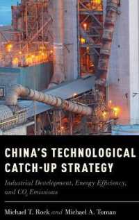 中国の技術戦略、産業発展とエネルギー問題<br>China's Technological Catch-Up Strategy : Industrial Development, Energy Efficiency, and CO2 Emissions
