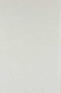 Metrical Stress Theory : Principles and Case Studies