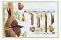 Architecture by Birds and Insects : A Natural Art