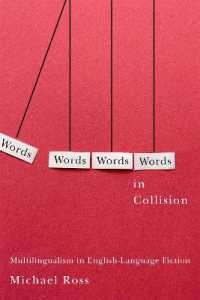 Words in Collision : Multilingualism in English-Language Fiction
