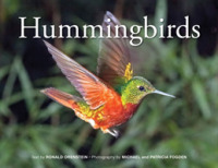 Hummingbirds （2ND）