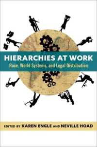 労働とヒエラルキー：人種・世界システム・法的分配<br>Hierarchies at Work : Race, World-Systems, and Legal Distribution (New Directions in Critical Theory)