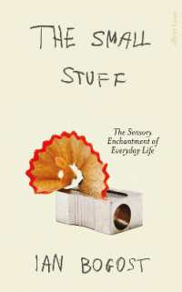 The Small Stuff : The Sensory Enchantment of Everyday Life