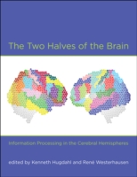 The Two Halves of the Brain : Information Processing in the Cerebral Hemispheres （New）