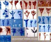 Karl Blossfeldt : Working Collages (The Mit Press)