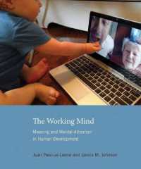 The Working Mind : Meaning and Mental Attention in Human Development