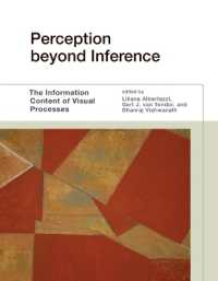Perception Beyond Inference: The Information Content of Visual Processes