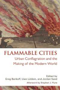 Flammable Cities : Urban Conflagration and the Making of the Modern World