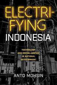 Electrifying Indonesia : Technology and Social Justice in National Development (New Perspectives in Se Asian Studies)