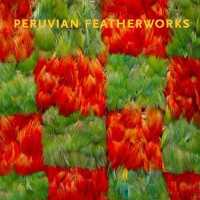 Peruvian Featherworks : Art of the Precolumbian Era