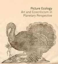 Picture Ecology : Art and Ecocriticism in Planetary Perspective