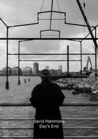 David Hammons : Day's End
