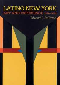 Latino New York : Art and Experience, 1970-2001