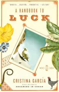 A Handbook to Luck (Vintage Contemporaries)
