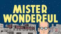 Mister Wonderful : A Love Story (Pantheon Graphic Library)