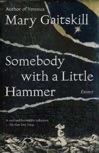 Somebody with a Little Hammer: Essays