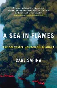 A Sea in Flames : The Deepwater Horizon Oil Blowout