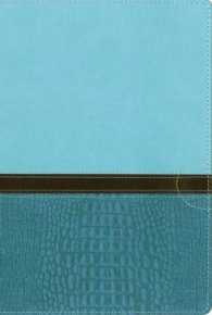 Quest Study Bible : New International Version, Turquoise / Caribbean Blue Italian Duo-Tone: the Question & Answer Study Bible （BOX LEA IN）