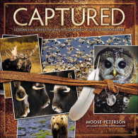 Captured : Lessons from Behind the Lens of a Legendary Wildlife Photographer (Voices That Matter) （1ST）
