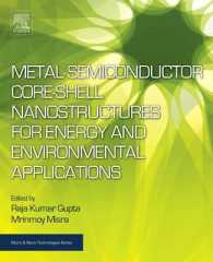 Metal Semiconductor Core-shell Nanostructures for Energy and Environmental Applications (Micro & Nano Technologies)