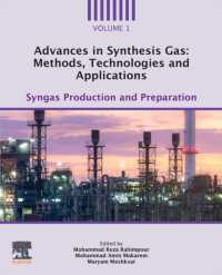 Advances in Synthesis Gas: Methods, Technologies and Applications : Syngas Production and Preparation
