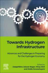 Towards Hydrogen Infrastructure : Advances and Challenges in Preparing for the Hydrogen Economy