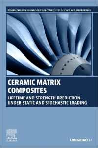Ceramic Matrix Composites : Lifetime and Strength Prediction under Static and Stochastic Loading (Woodhead Publishing Series in Composites Science and Engineering)