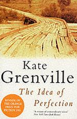 Idea of Perfection -- Paperback / softback