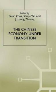 Chinese Economy under Transition (Studies on the Chinese Economy) -- Hardback
