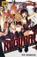 赤松健「魔法先生ネギま！」（英訳）Vol. 18<br>Negima! 18 : Magister Negi Magi (Negima!)