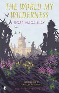 The World My Wilderness (Virago Modern Classics)