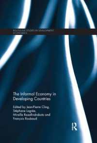 The Informal Economy in Developing Countries (Routledge Studies in Development Economics)