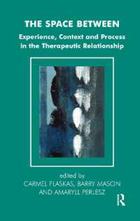The Space between : Experience, Context, and Process in the Therapeutic Relationship (The Systemic Thinking and Practice Series)